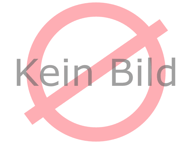 Schneemänner (2013)